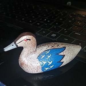 Lead duck painted